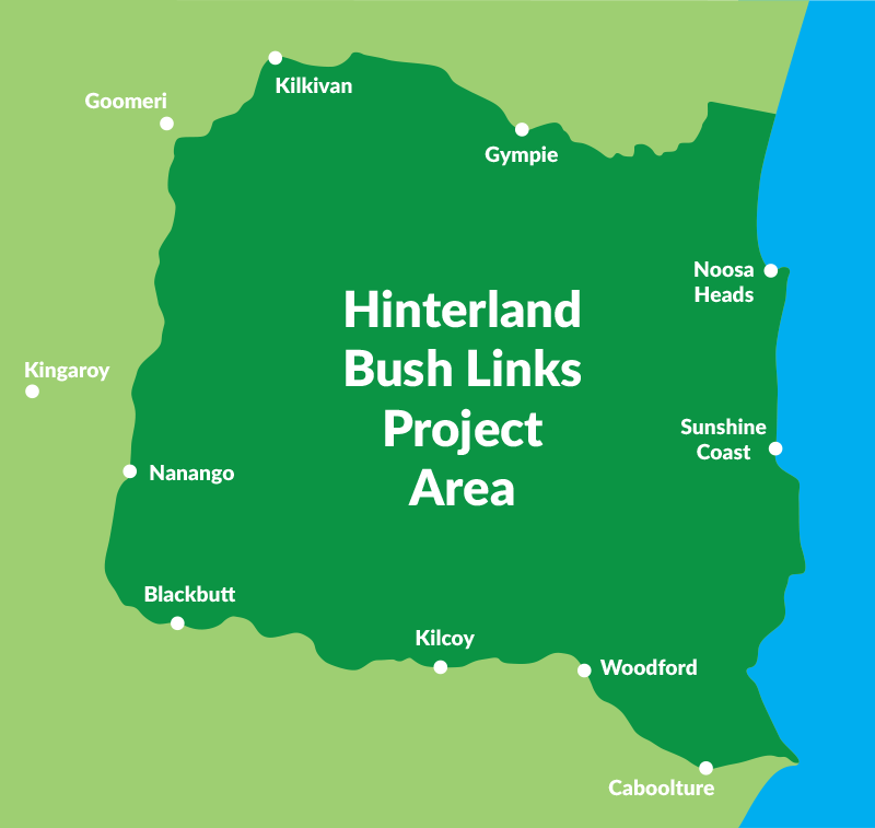 Hinterland Bush Links Project Area