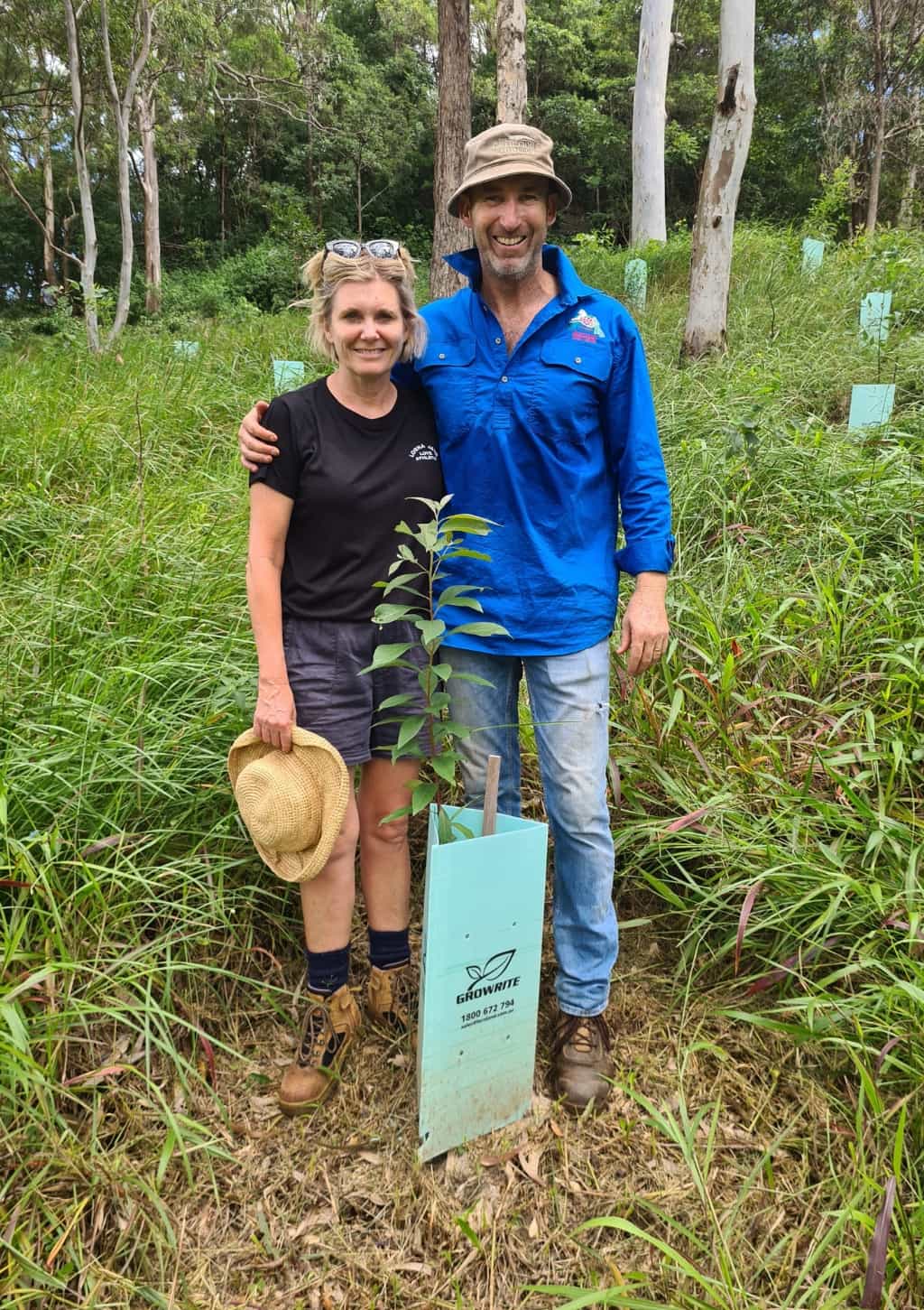 Hinterland Bush Link Landholders